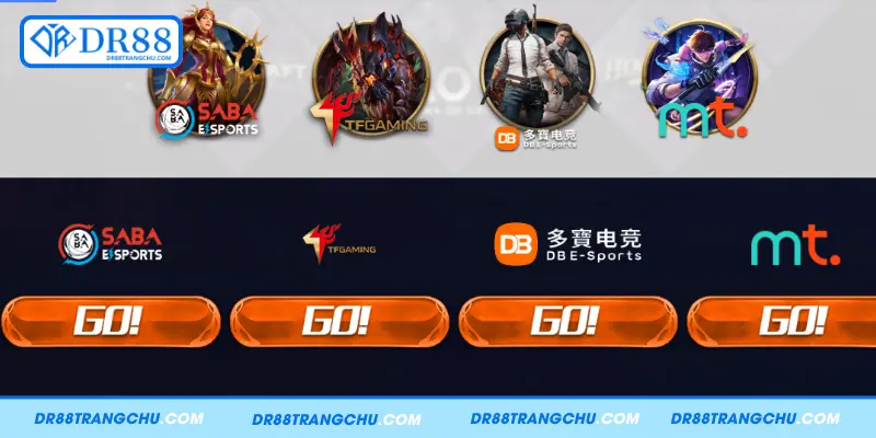 Những đối tác chiến lược của E – Sports DR88