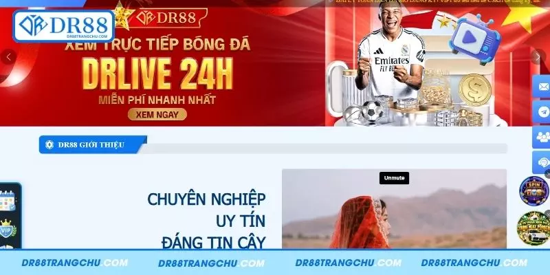 Vài nét về thông tin giới thiệu DR88